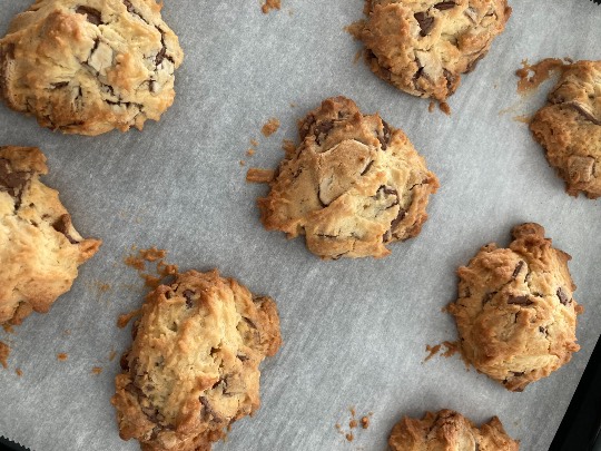 EGG&#039;S CAFE支店『Wellness』5号店　健康・体調・ダイエット・更年・介護...