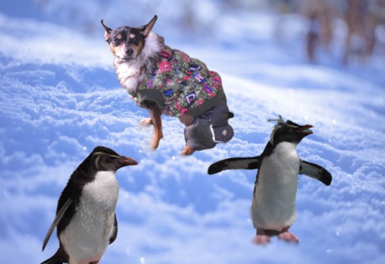 生き物ルーム28