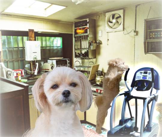 生き物ルーム第27