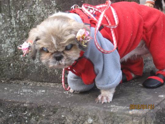 生き物ルーム28