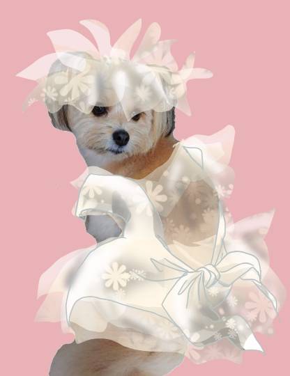 生き物ルーム第27