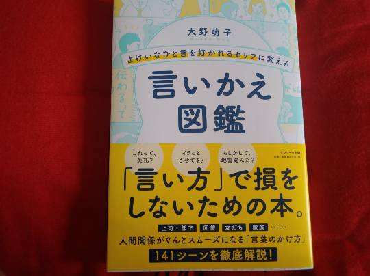 コストコユーザーのドンキ♡♡ロピア 雑談