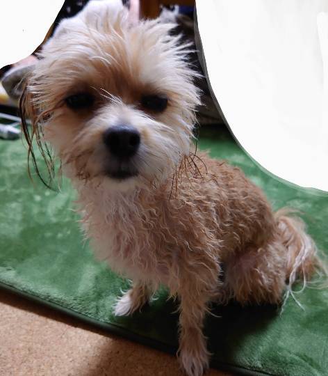 生き物ルーム第29