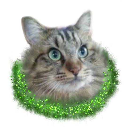 生き物ルーム第27