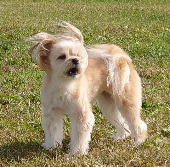 生き物ルーム第29