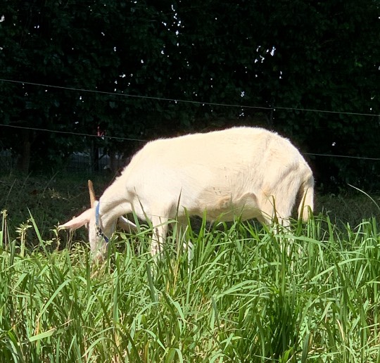 生き物ルーム第29