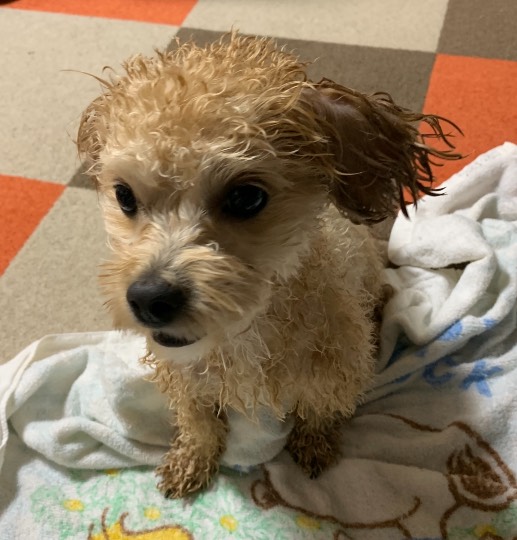 生き物ルーム第29