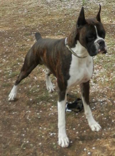 生き物ルーム28