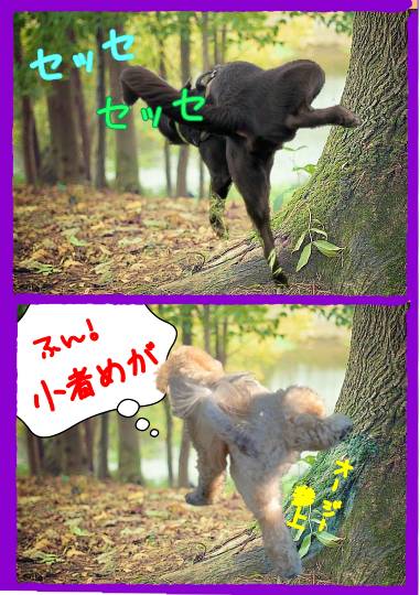 生き物ルーム28