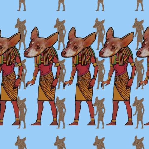 生き物ルーム第27