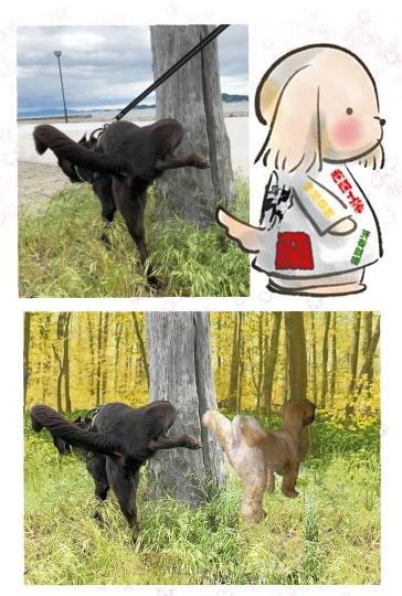 生き物ルーム第26