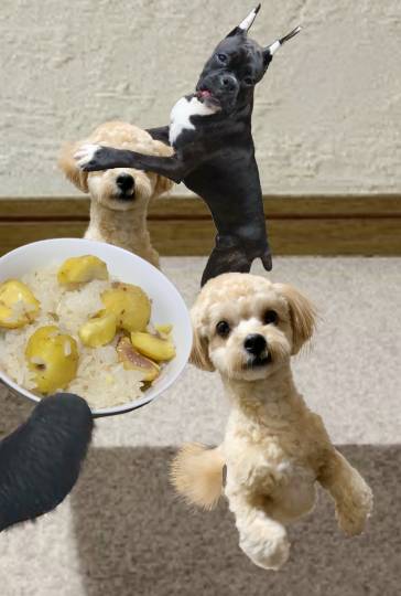 生き物ルーム28