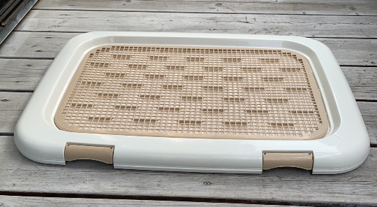 生き物ルーム第26