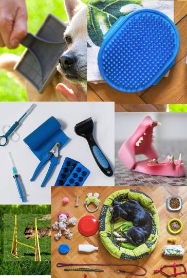 生き物ルーム28