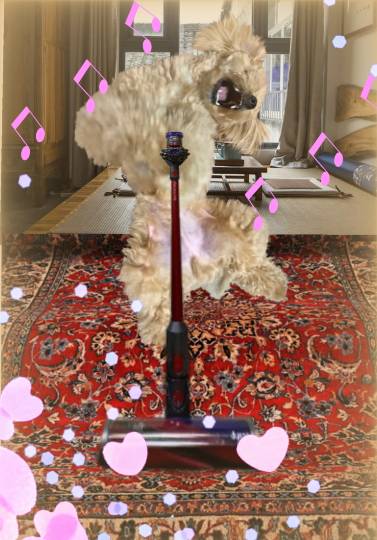 生き物ルーム28