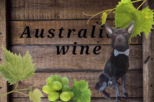 #雑談お絵描き部…ホーム Ⅲ