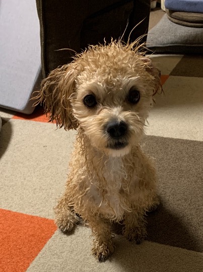 生き物ルーム第29