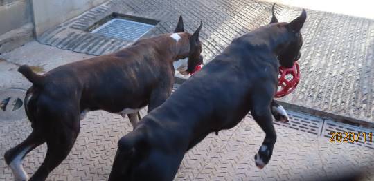 生き物ルーム第29