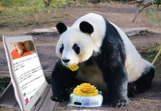 生き物ルーム第27