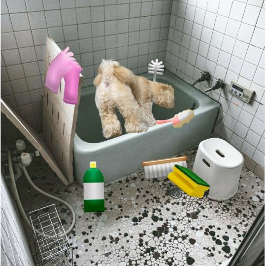 生き物ルーム28