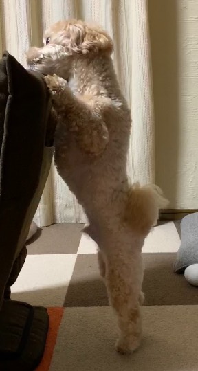 生き物ルーム第27