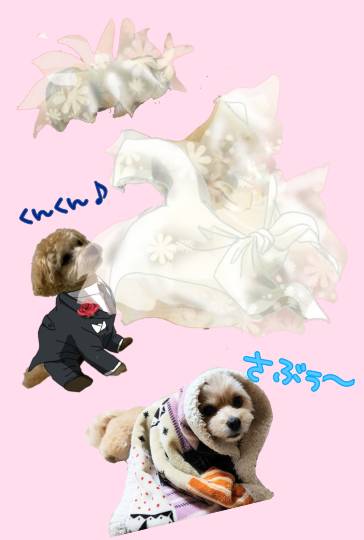 生き物ルーム第27