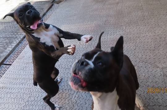 生き物ルーム28