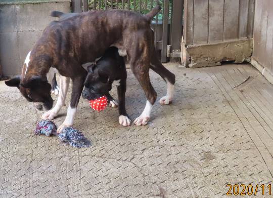 生き物ルーム第29