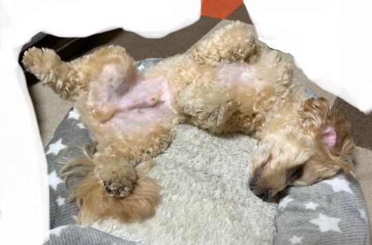 生き物ルーム第29