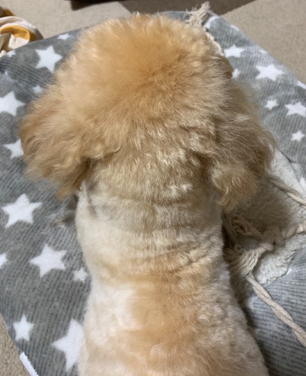 生き物ルーム第29