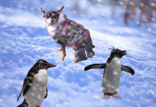 生き物ルーム28