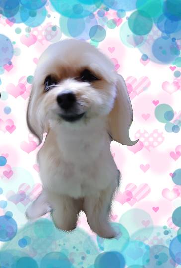 生き物ルーム第26