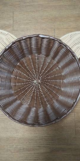 生き物ルーム28