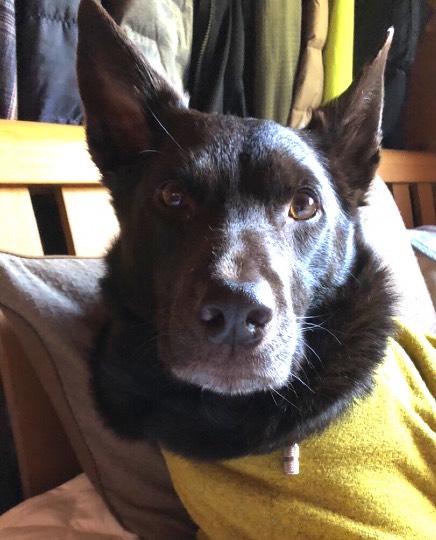 生き物ルーム第29