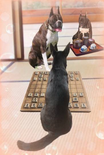 生き物ルーム28