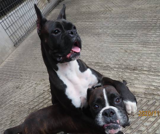 生き物ルーム28