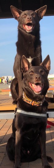 生き物ルーム第29