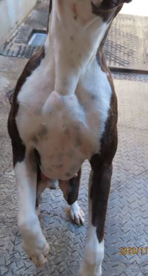 生き物ルーム第29