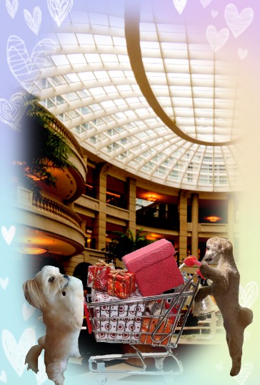 生き物ルーム第29