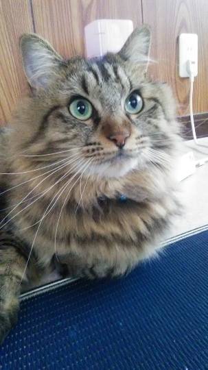 生き物ルーム第27