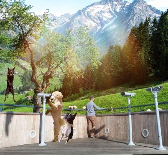 生き物ルーム第27