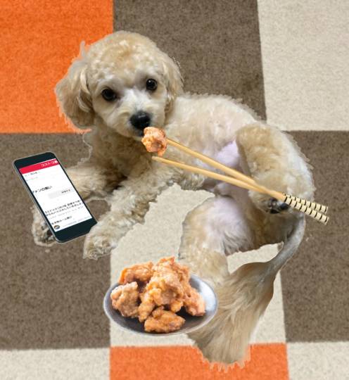 生き物ルーム第27