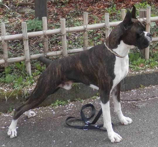 生き物ルーム28