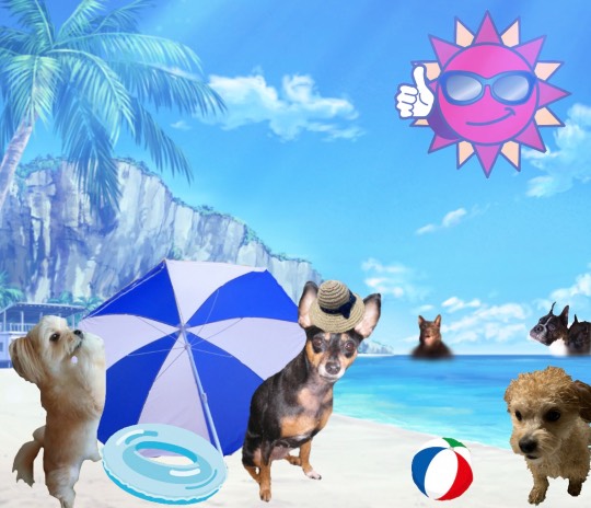 生き物ルーム第29