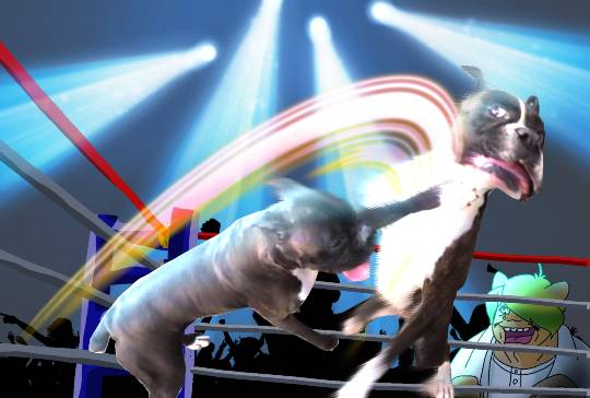 生き物ルーム第27