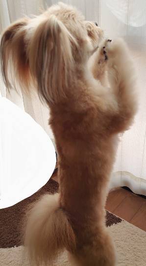 生き物ルーム第29