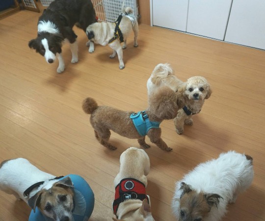 生き物ルーム第29