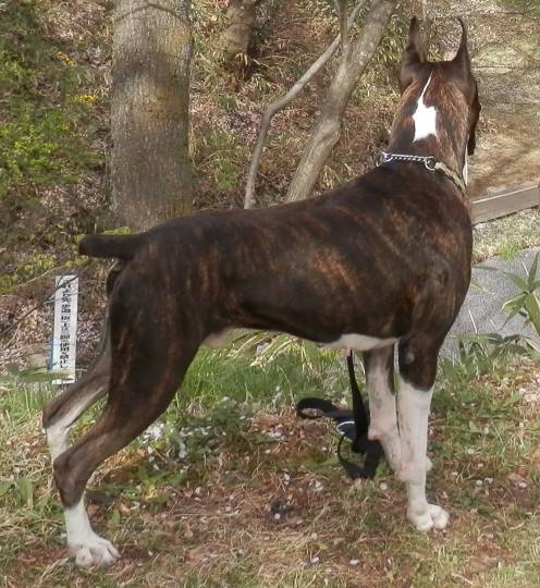 生き物ルーム28