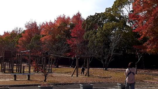 花鳥風月に心を込めて...　(エアー花トピ2)