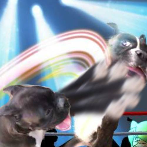 生き物ルーム第27